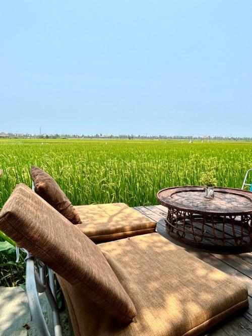 Best Coffee Shops in Hoi An Vietnam Rice Fields