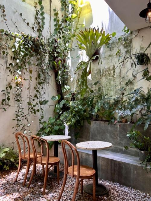 Best Coffee Shops in Hoi An Vietnam