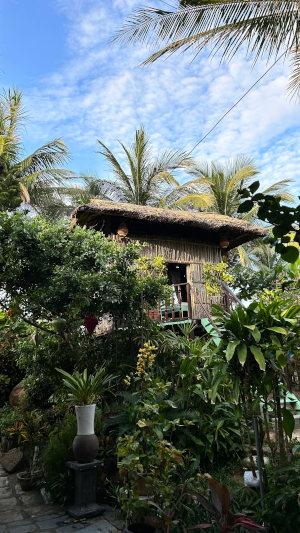 weather in Hoi An May-June